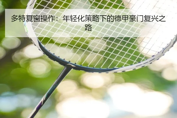 多特夏窗操作：年轻化策略下的德甲豪门复兴之路